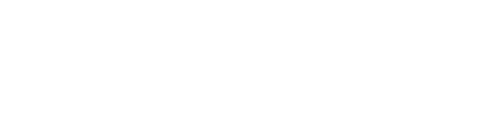Sourcefin Logo